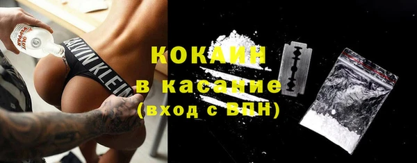 молекула духа Новозыбков
