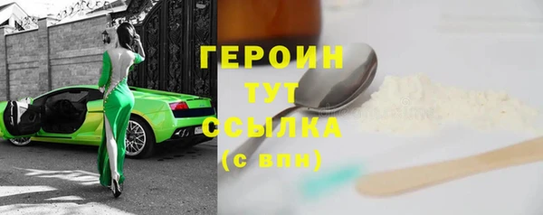 молекула духа Новозыбков