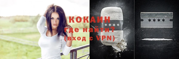 молекула духа Новозыбков