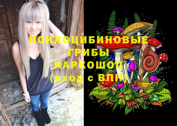 молекула духа Новозыбков