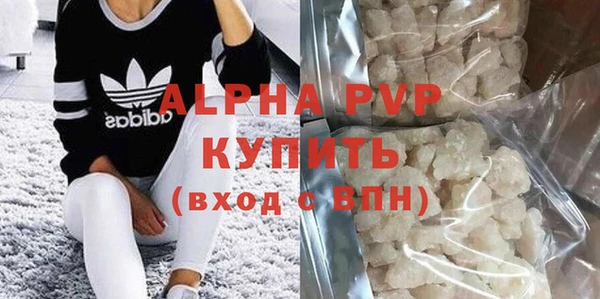 молекула духа Новозыбков
