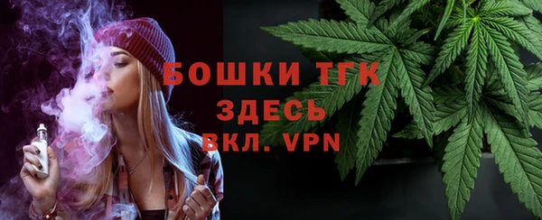молекула духа Новозыбков