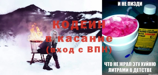 молекула духа Новозыбков