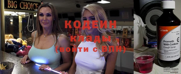 молекула духа Новозыбков