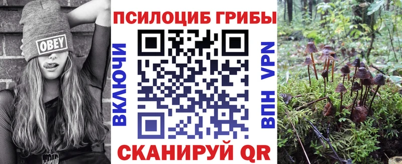 цена наркотик  MEGA вход  Галлюциногенные грибы Magic Shrooms  Подпорожье 
